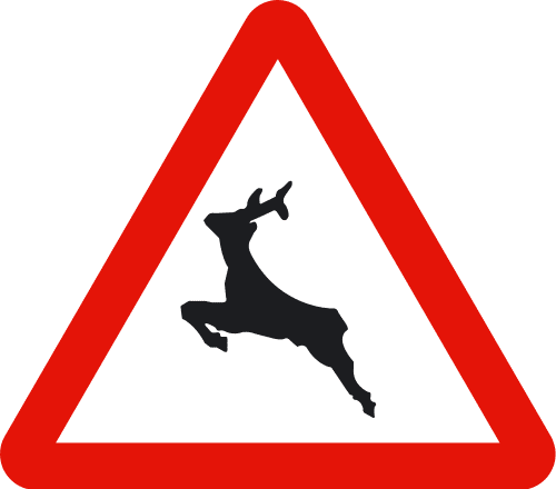 Car accident caused by an animal in Spain