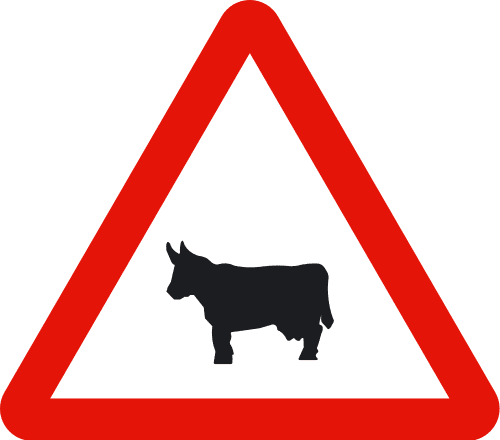 Car accident caused by an animal in Spain