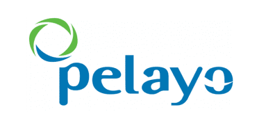 pelayo car insurance spain